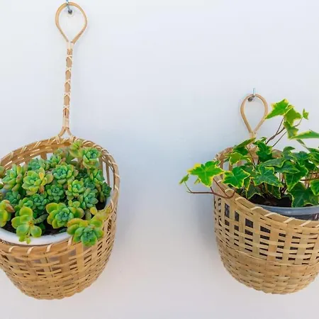 Apartment Casa Da Avenida 2 - Centro - Terraco Privado