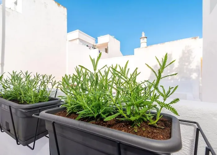 Casa Da Avenida 2 - Centro - Terraco Privado شقة تافيرا