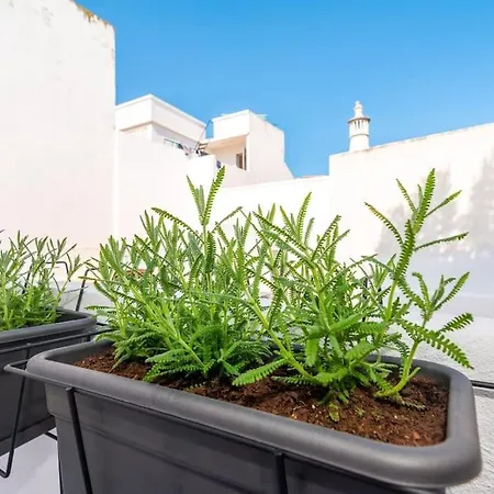 Casa Da Avenida 2 - Centro - Terraço Privado Appartement Tavira